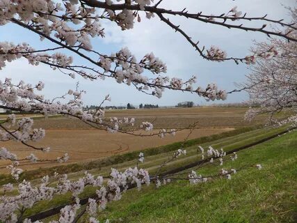 Toyama İli