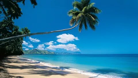 Kadavu