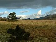 Newry, Mourne ve Aşağı