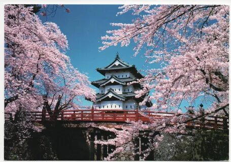 Aomori Eyaleti