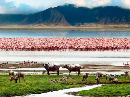Manyara