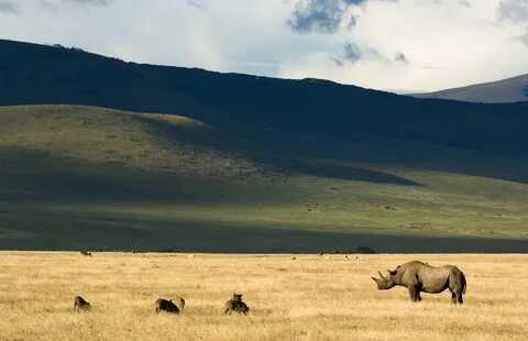 Manyara