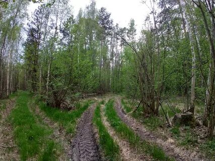 Jitomyrska bölgesi