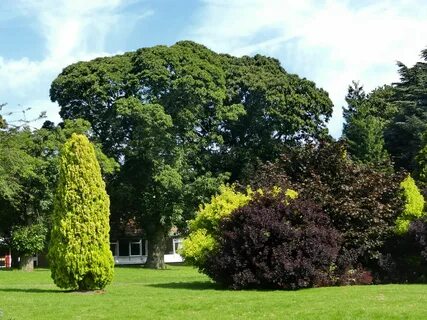 Staffordshire