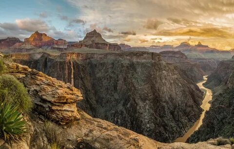 Arizona