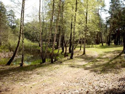 Luhanska bölgesi