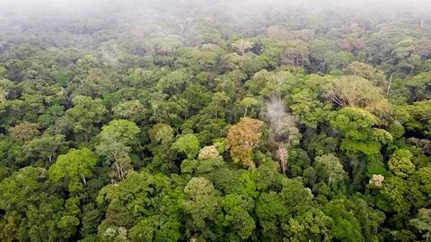 Ogooué-Ivindo Eyaleti