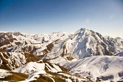 Alborz