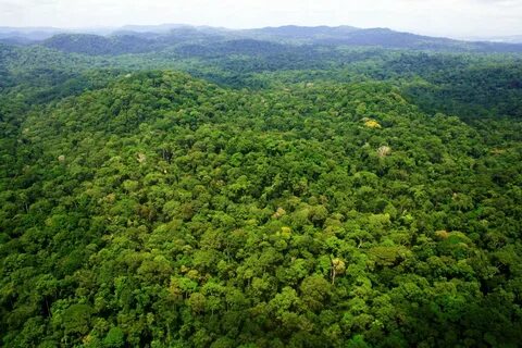 Ogooué-Ivindo Eyaleti