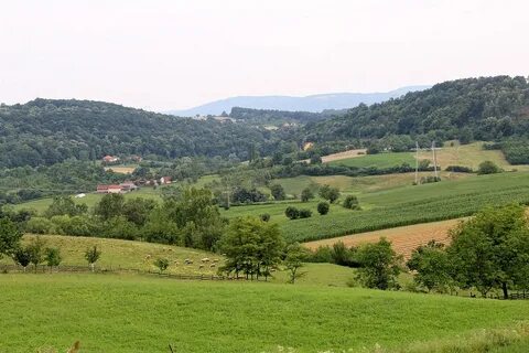 Kolubara Bölgesi