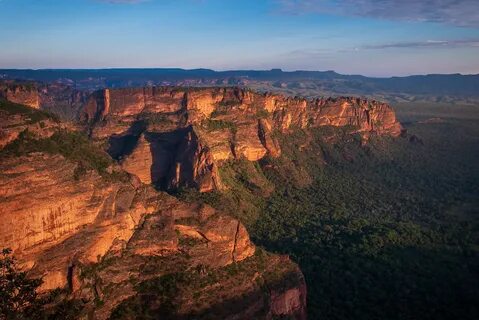 Mato Grosso
