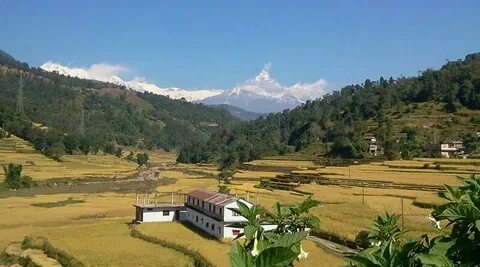 Gandaki Bölgesi