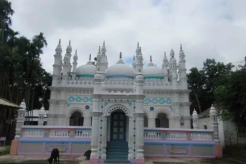 Thakurgaon Bölgesi