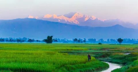 Panchagarh Bölgesi