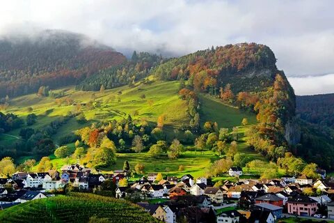 Eschen