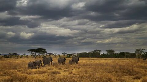 Manyara