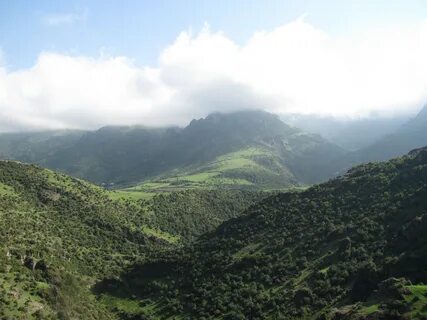 Lenkeran İlçesi