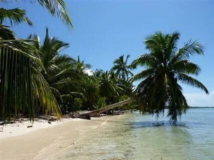 Toamasina Eyaleti
