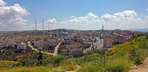 İrbid