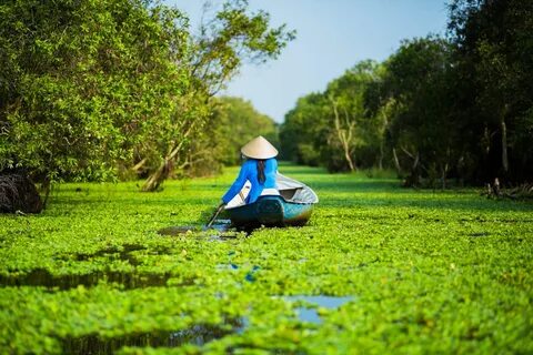 Ca Mau