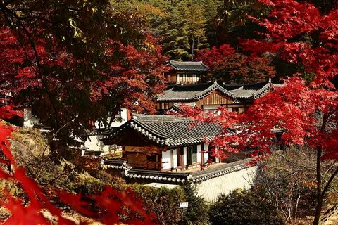 Kuzey Gyeongsang Eyaleti