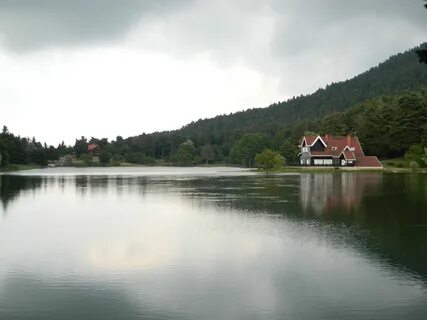 Bolu