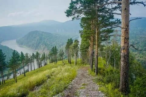 Krasnoyarsk Krayı