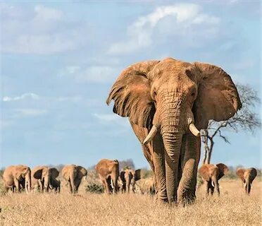Taita – Taveta