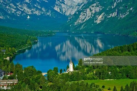 Bohinj Belediyesi