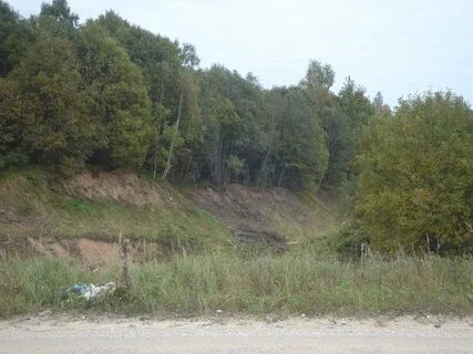 Saldus Belediyesi