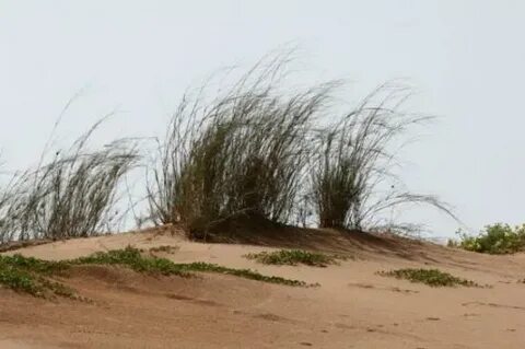 Kgalagadi Bölgesi