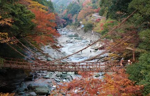 Tokushima Eyaleti