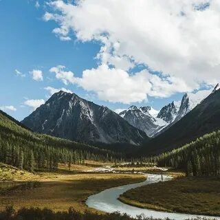 Altay Krayı