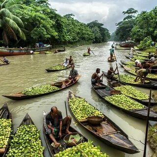 Barisal Bölgesi