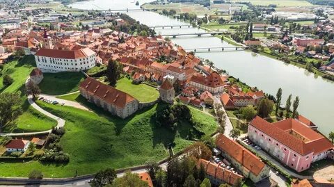 Ptuj Şehir Belediyesi
