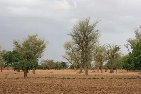 Zondoma Eyaleti