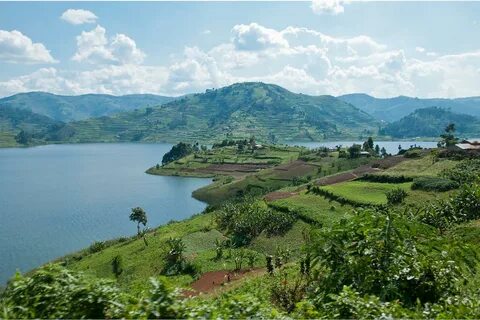 Nakasongola Bölgesi