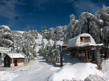 Blida