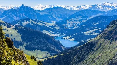 Vaud