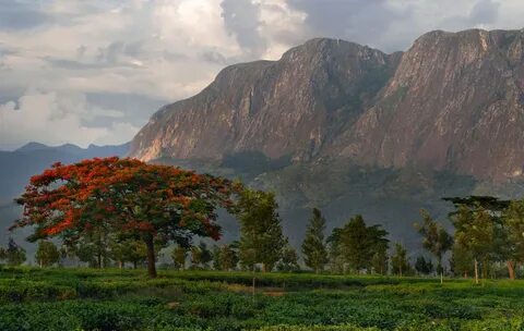 Mulanje Bölgesi