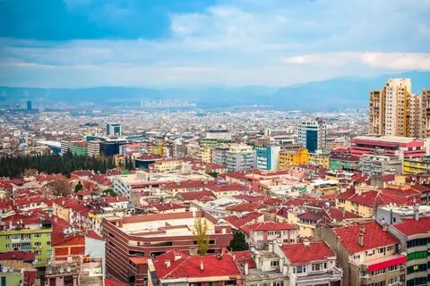 Bursa