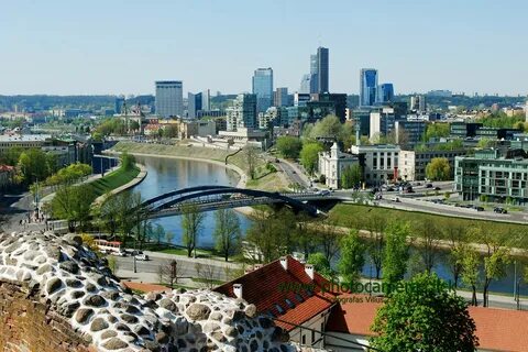 Vilnius Bölge Belediyesi