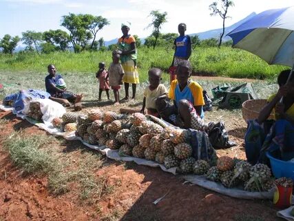 Huambo Eyaleti