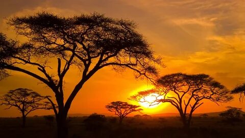 Songwe