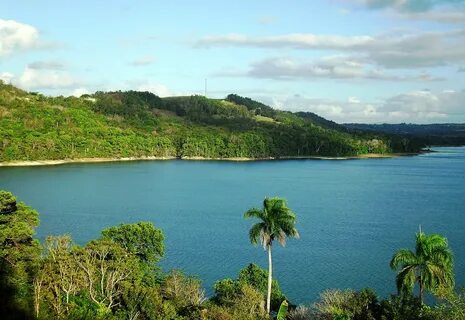 Quebradilla'lar
