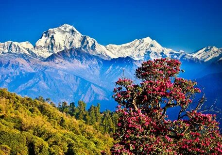 Rapti Bölgesi