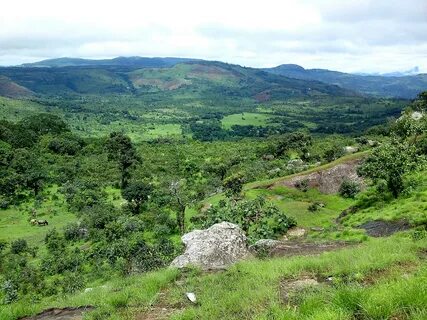 Mamou Bölgesi