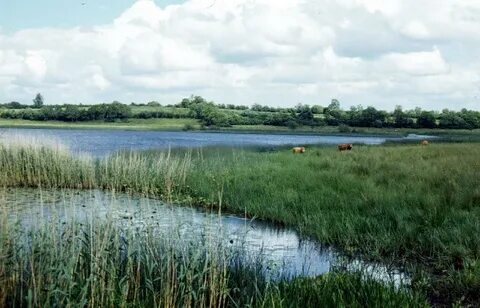 Fermanagh Bölge Konseyi