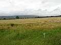 Strabane Bölge Konseyi