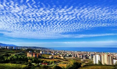 Samsun